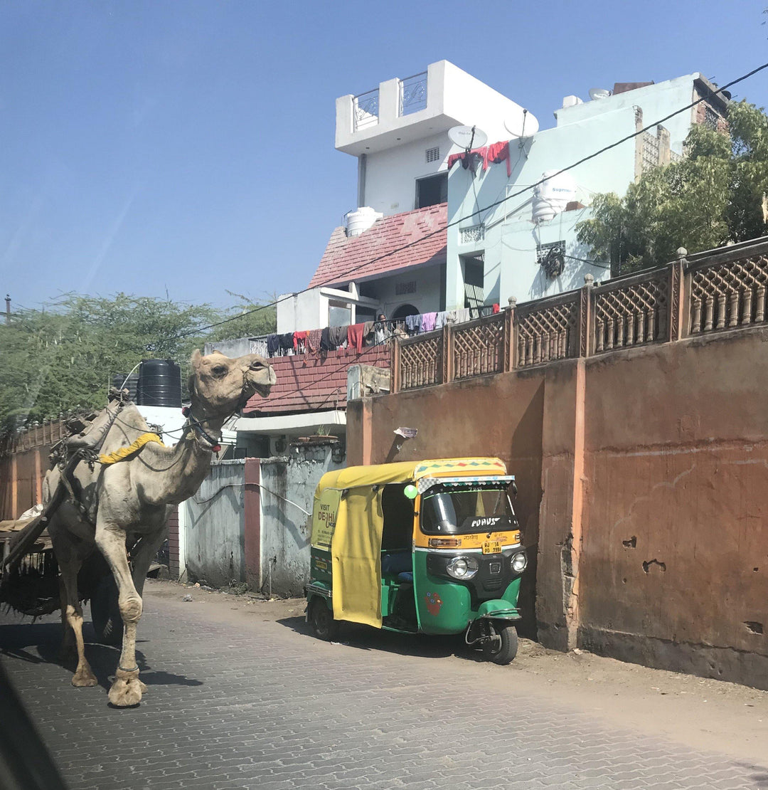 Travel Notes: Tips for your first trip to India - Dilli Grey