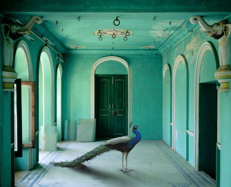 Rajasthan Diaries: India Song by Karen Knorr - Dilli Grey