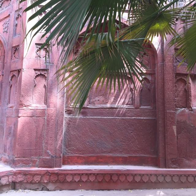 MUSINGS ON INDIA PART 1: Faded Beauty - Dilli Grey