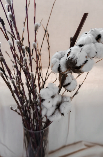 We are going organic - Dilli Grey