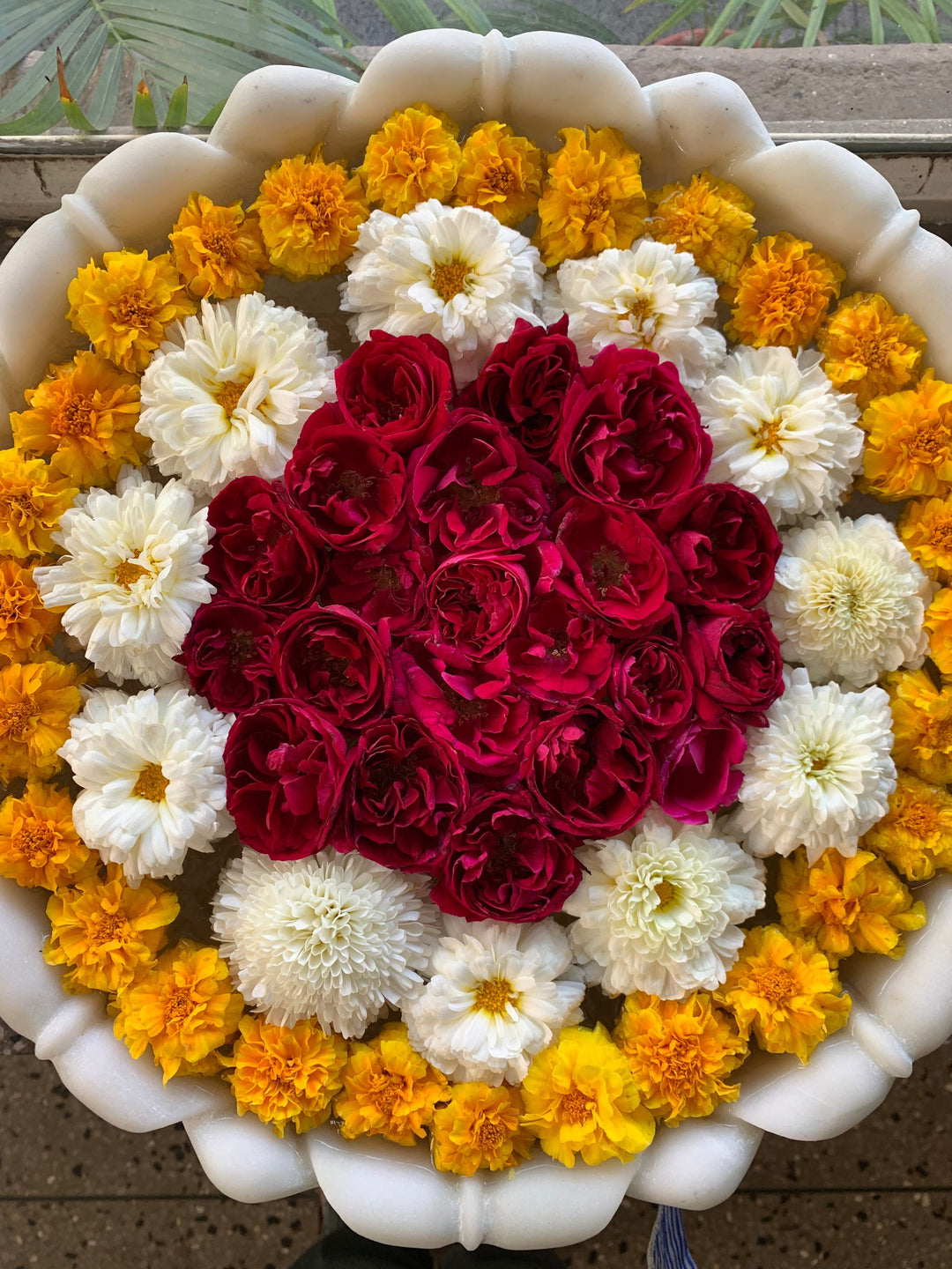 A Study In Sunlight & Colour