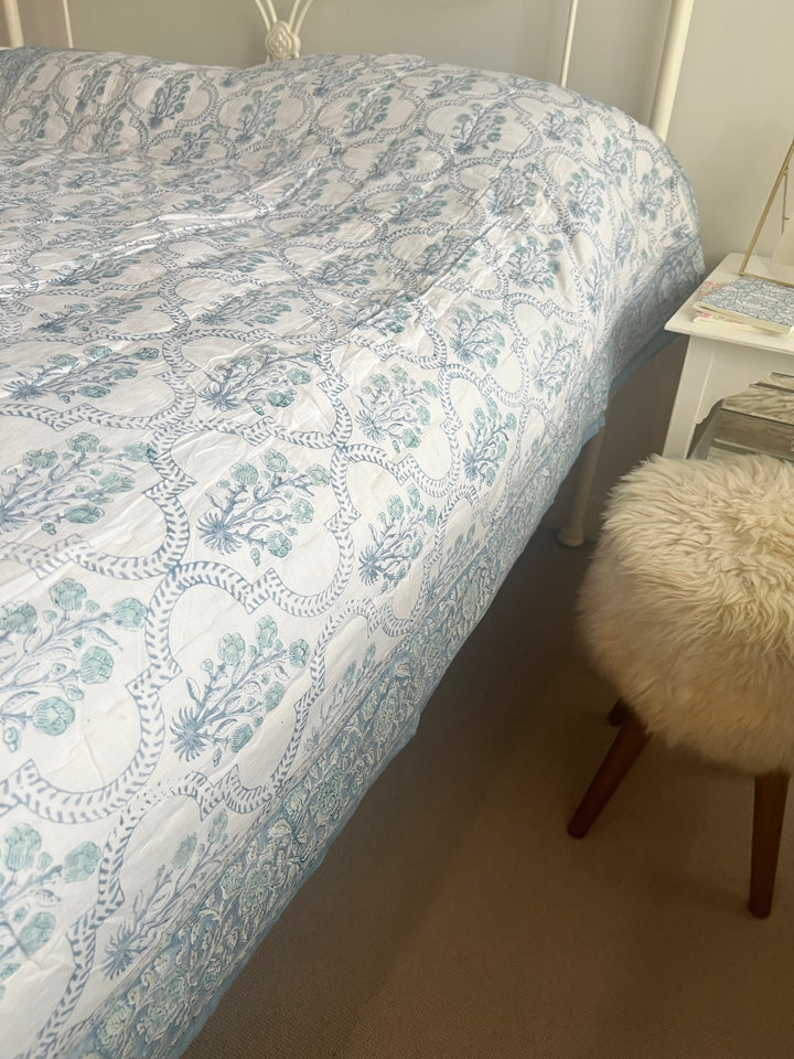 Phool Jaal with mixed border in sky blue