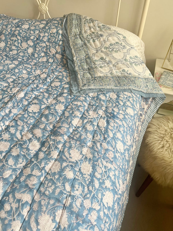 Phool Jaal with mixed border in sky blue