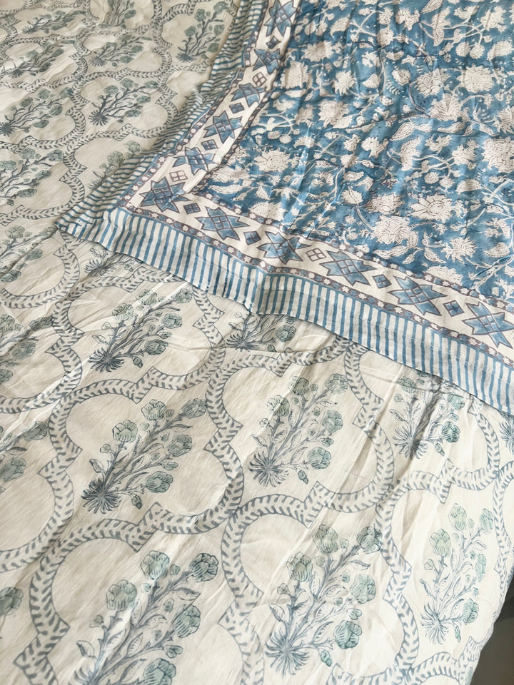 Phool Jaal with mixed border in sky blue