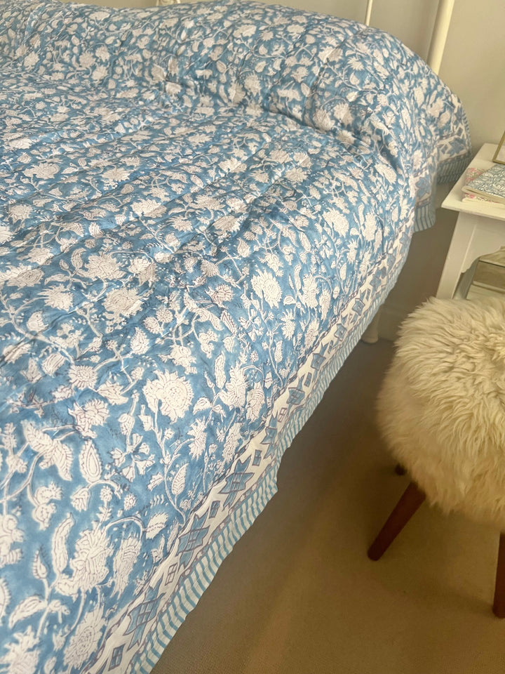 Phool Jaal with mixed border in sky blue