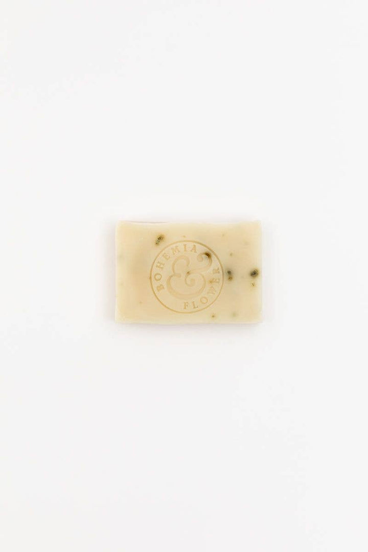 Coast Bar Soap - Organic Seaweed & Tea Tree